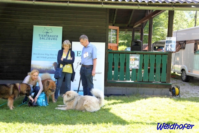 22.5.2022 - Charisi, Aria und Dante